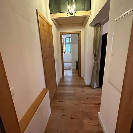 Hortensie Rittergut Schloss Zehista Gutshaus Lejlighed