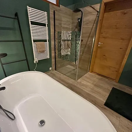 Hortensie Rittergut Schloss Zehista Gutshaus * Pirna