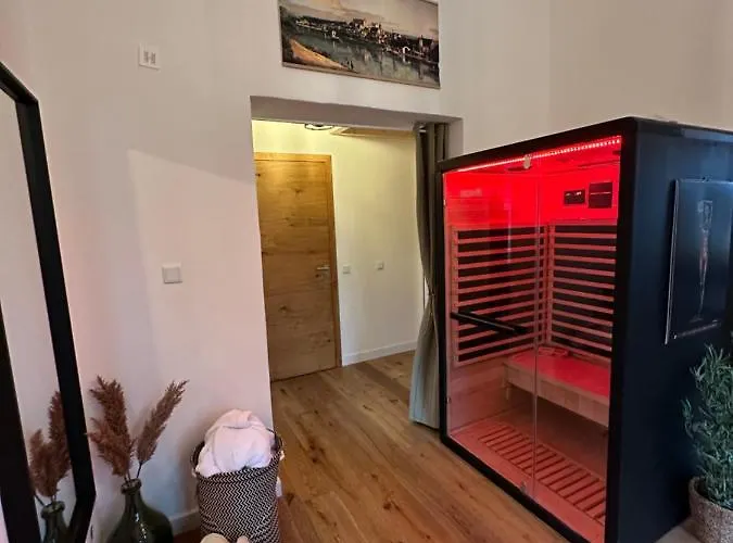 Hortensie Rittergut Schloss Zehista Gutshaus *