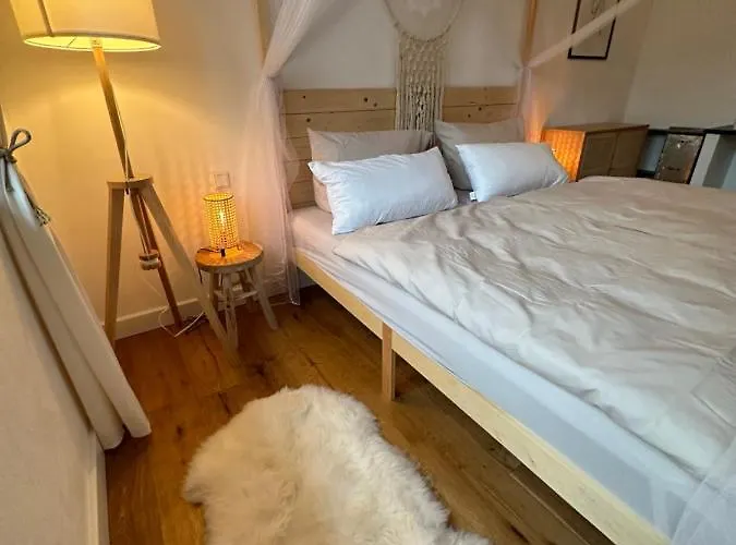 Hortensie Rittergut Schloss Zehista Gutshaus