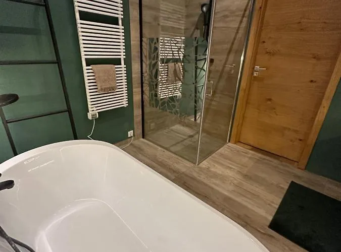 Hortensie Rittergut Schloss Zehista Gutshaus * Pirna